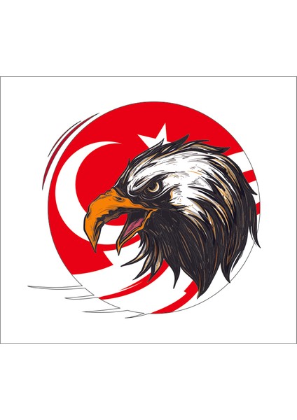 Kartal Türk Bayrağı Ay Yıldız Sticker 00949