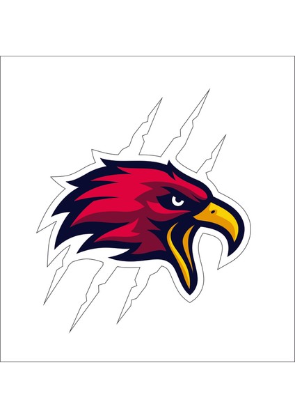 Kartal Şahin Sticker 00950