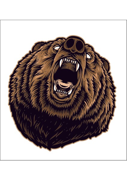 Boz Ayı Orman Hayvan Çıkartma Sticker 00983