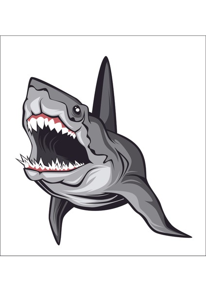 Köpek Balığı Vahşi Tehlikeli Çıkartma Sticker 00987