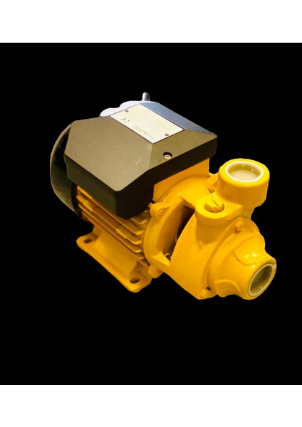 Flomatıc Pm 45 0.5 Hp 1'' Sürtme Fanlı (Bakır Sargı/paslanmaz Çelik Mil)