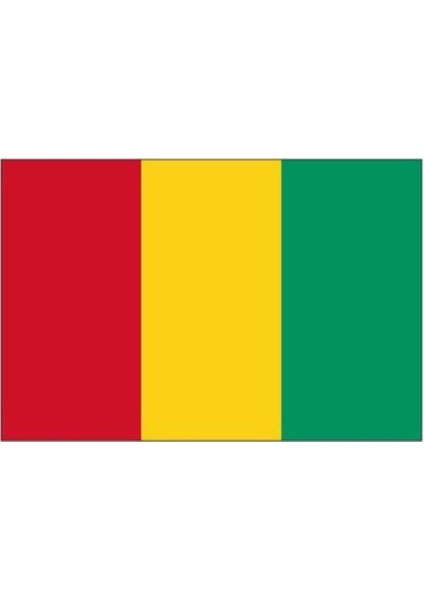 Gine Gönder Bayrağı 70 x 105 cm