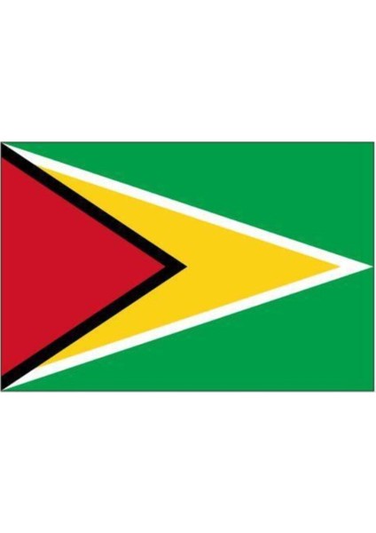 Guyana Gönder Bayrağı 70 x 105 cm