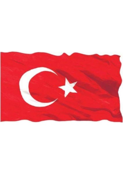 Türk Bayrağı 1.sınıf Parlak Raşhel Kumaş 2x3 Metre 200X300