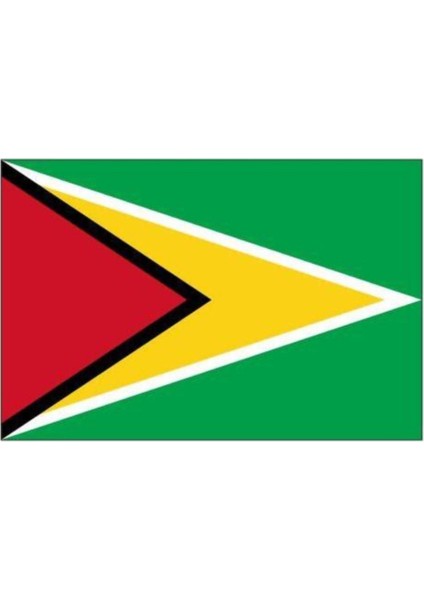Guyana Gönder Bayrağı 150 x 225 cm