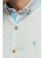 Oxford %100 Pamuklu Çizgili Slim Fit Uzun Kollu Gömlek,OT-C-20070 5