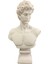 David Büst Heykel Biblo 43*24 cm 1