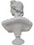 Büyük Apollo Büst-Heykel-Biblo 3