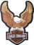 Eagles Commando Nakış Işleme Arma Patch Peç 19,5×26 cm 1