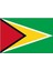 Guyana Gönder Bayrağı 50 x 75 cm 1