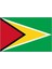 Guyana Gönder Bayrağı 70 x 105 cm 1