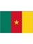 Kamerun Gönder Bayrağı 50 x 75 cm 1