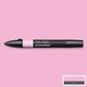 Pink Carnation