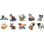 HoloToyz Holo Toyz Holotoyz Tattoo Pet Party Ar Uyumlu Geçici Dövme