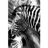 Gıftdeco 2 Parçalı 50 x 70 Siyah Beyaz Dekoratif Modern Tuval Kanvas Tablo Zebra