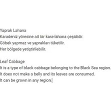 Agrodal Tarım Ata Tohumu Yöresel Kara Lahana (Karadeniz Lahanası, Yaprak Lahana) 500 Adet Tohum