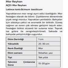 Agrodal Tarım Mor Reyhan Çiçeği Tohumu