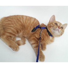Maksipazar Pratik Kedi Tasması Ayarlanabilir Yavru ve Yetişkin Kedi Bel ve Göğüs Tasması 120 cm