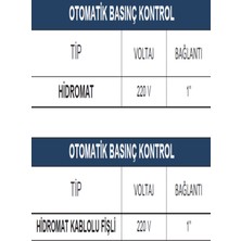 Vortex Otomatik Hidrofor Presscontrol