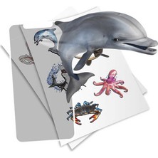 Junoo HoloToyz Sticker Super Sea Creatures AR Uyumlu Etiket