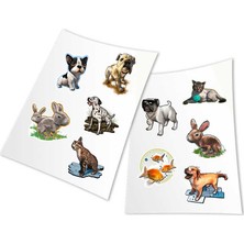 Junoo HoloToyz Sticker Pet Party AR Uyumlu Etiket