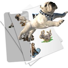 Junoo HoloToyz Sticker Pet Party AR Uyumlu Etiket