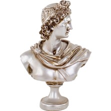 By Ari APOLLON-HK102-17-1