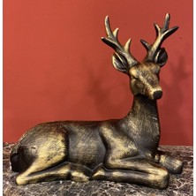 By Ari GEYİK-HF123-3