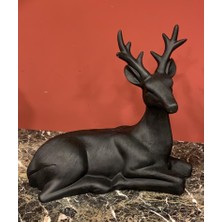 By Ari GEYİK-HF123-4