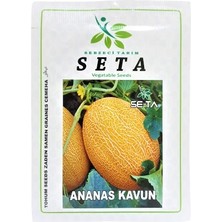 SETA Ananas Kavunu Tohumu 10 gr