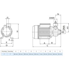 Wilo Pv 30M Döküm Gövdeli Preferikal Pompa 0.5 Hp 35 Mss 2 M³/h 220 Volt