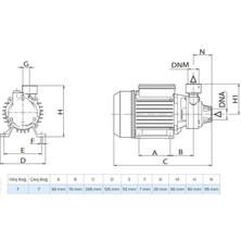 Wilo Pv 50M Döküm Gövdeli Preferikal Pompa 0.8 Hp 60 Mss 3 M³/h 220 Volt