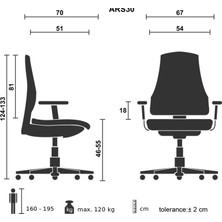 Uzay Ofis Arel Plus Müdür Koltuğu - Camel