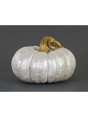 By Ari Orta Boy Bal Kabağı