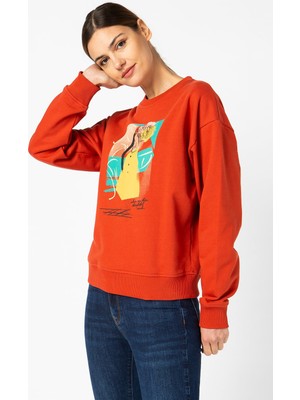 Vigoss Jeans Kadın Sweatshirt 13371-30034