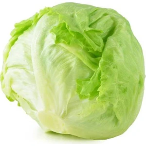 Agrodal Tarım Doğal Göbek Marul Tohumu Iceberg 1000 Adet