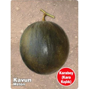 Agrodal Tarım Ata Tohumu Yerli Kavun Karabey 100 Adet Tohum