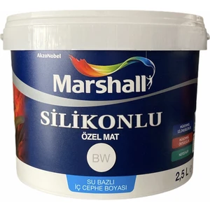 Özel Mat 2,5 Lt 3 kg Şampanya
