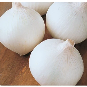 Agrodal Tarım Yerli Doğal Beyaz Soğan 500 Adet Tohum