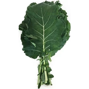 Agrodal Tarım Ata Tohumu Yöresel Kara Lahana (Karadeniz Lahanası, Yaprak Lahana) 500 Adet Tohum
