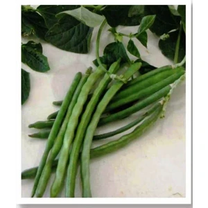 Agrodal Tarım Ata Tohumu Yerli Börülce 50 Adet Tohum