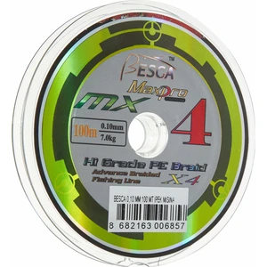 0,10 mm 100 mt Ipek Misina