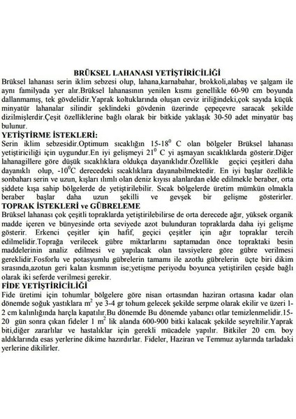 Agrodal Tarım Yerli Brüksel Lahanası Tohumu 180 Adet