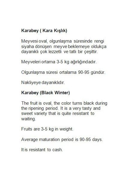 Ata Tohumu Yerli Kavun Karabey 100 Adet Tohum fiyatları