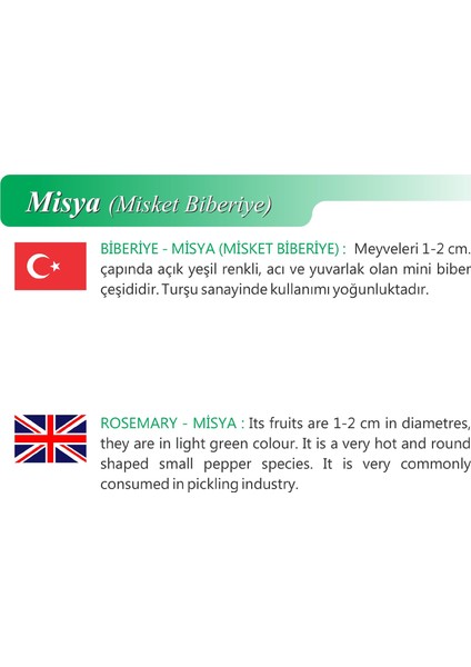 Ata Tohumu Yerli Doğal Misket Biberi 500 Adet Tohum