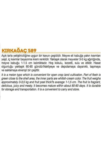 Ata Tohumu Yerli Doğal Kavun KIRKAĞAÇ-589 Tip 100 Adet Tohum