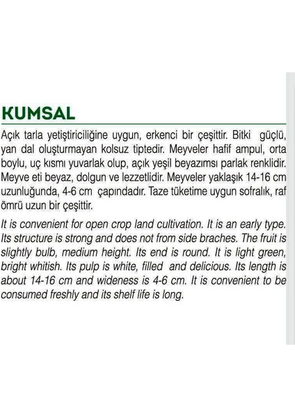 Ata Tohumu Yerli Doğal Ampül Kabak Tohumu 20 Adet Tohum fiyatları