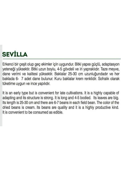 Ata Tohumu Yerli Bakla Sevılla 30 Adet Tohum fiyatları
