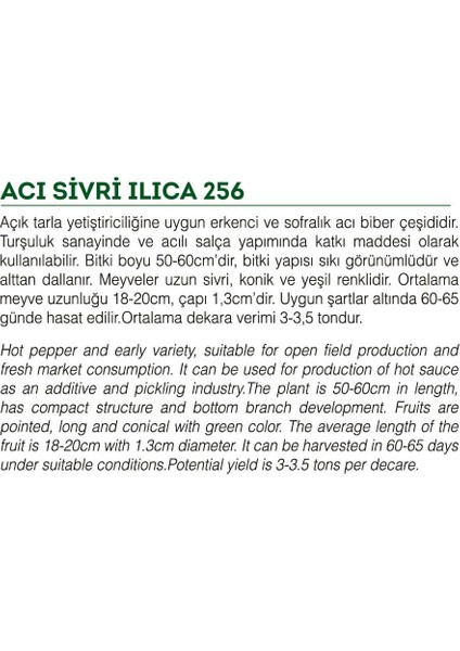 Ata Tohumu Yöresel Doğal Sivri Biber Acı Ilıca 1000 Ad