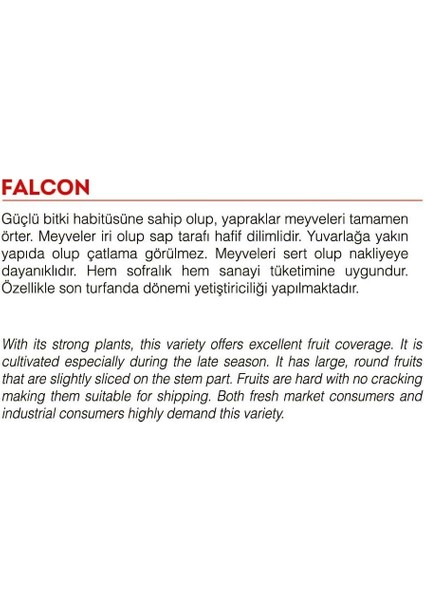 Ata Tohumu Yerli Doğal Sofralık Domates 1000 Adet Tohum fiyatları